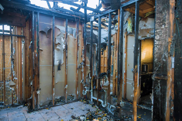 Professional Smoke Damage Removal technician working in Big Lake, WA