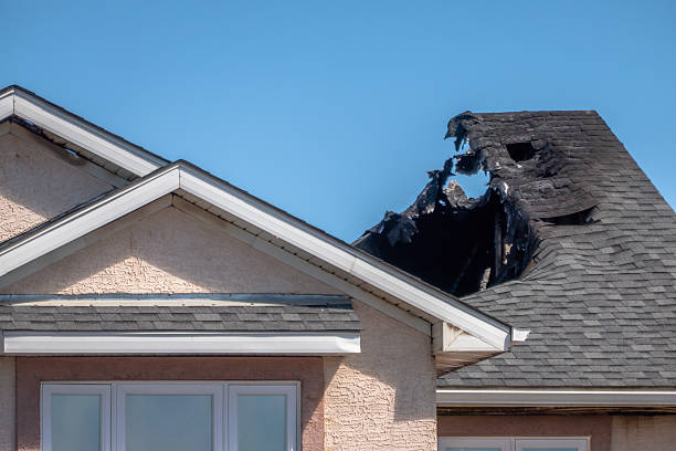 Top rated local Smoke Damage Removal specialists in Big Lake, WA